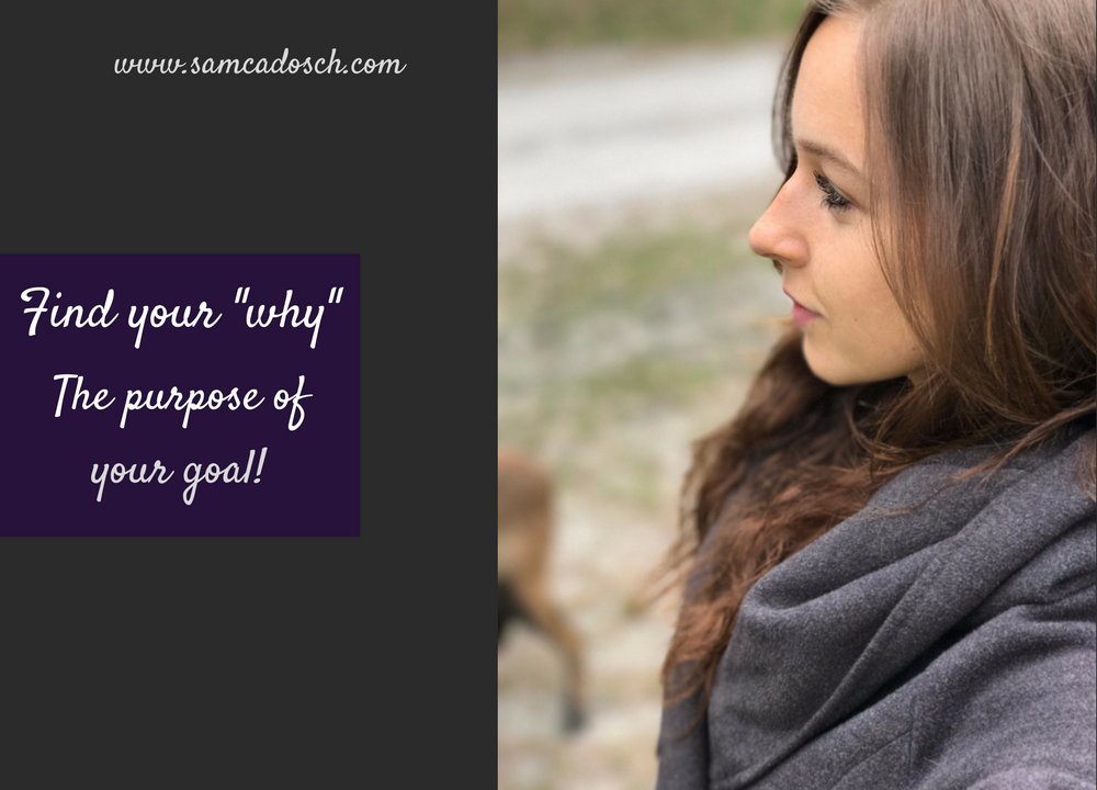 Sam Cadosch - your why, purpose, sense, for your goal, goal, reason - cover