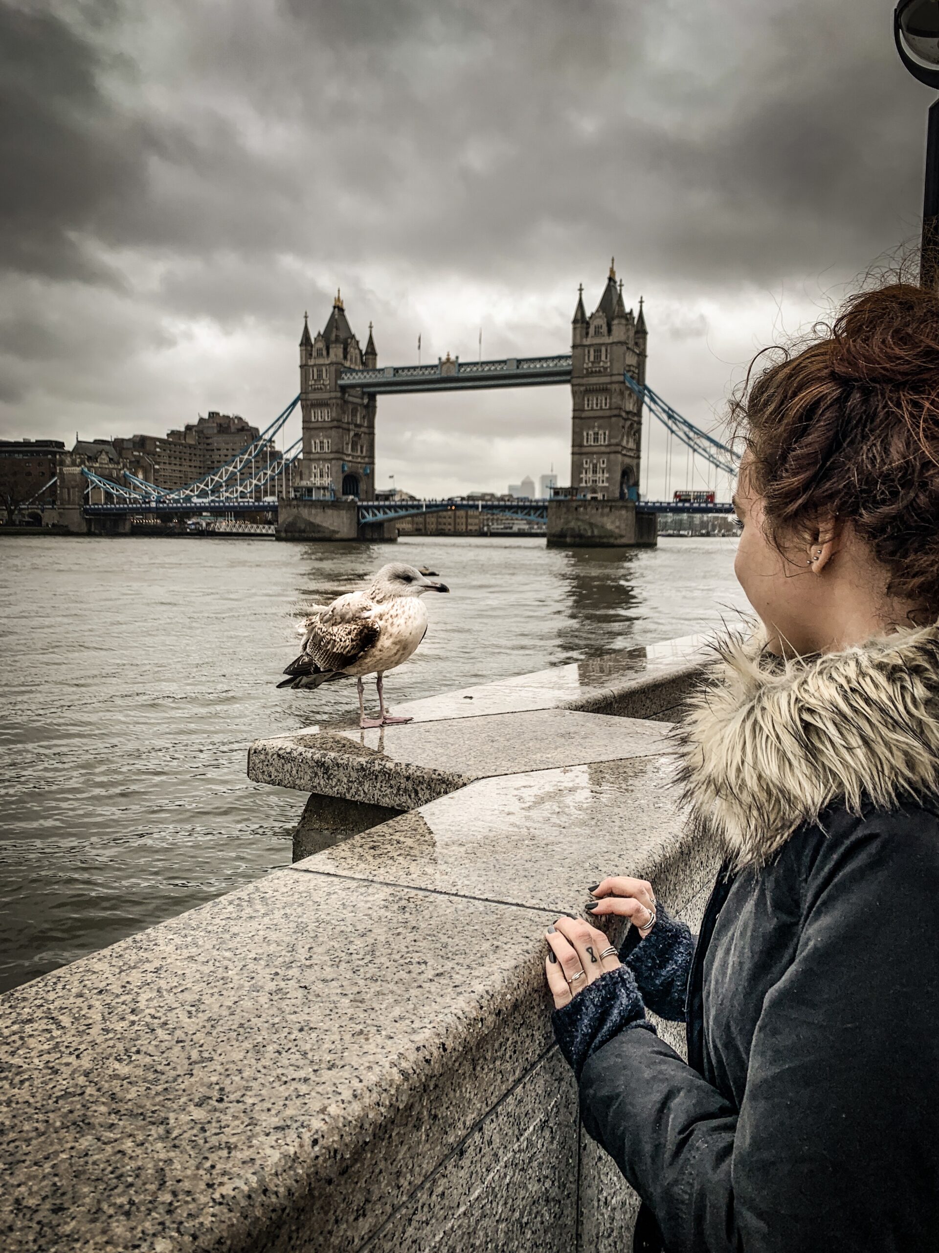 Sammy C - Rückblick 21019, Lektionen, Learnings, finanzielle Freiheit