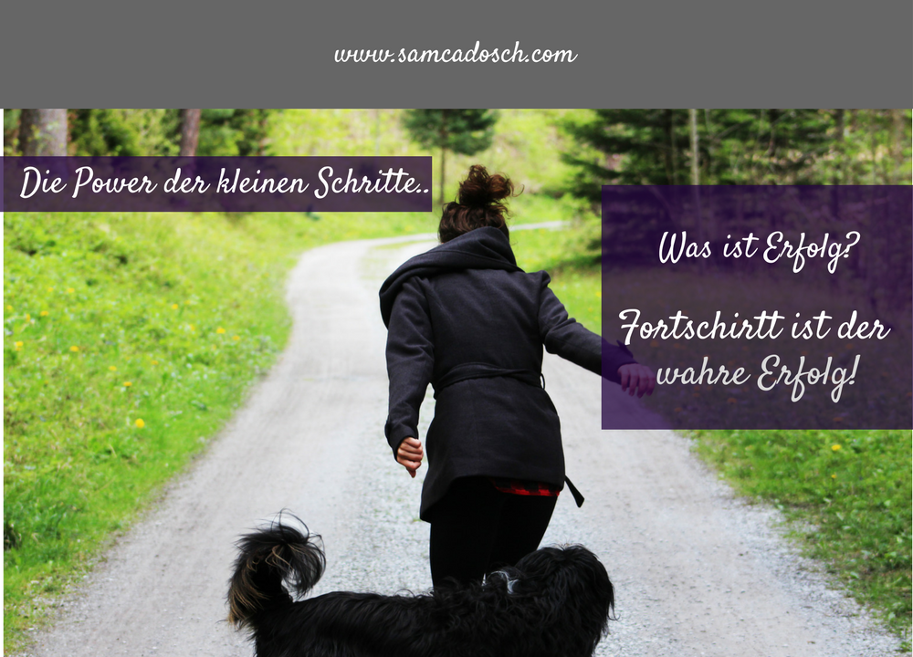 Sam Cadosch - Fortschritt, Erfolg, Schritt für Schritt - cover