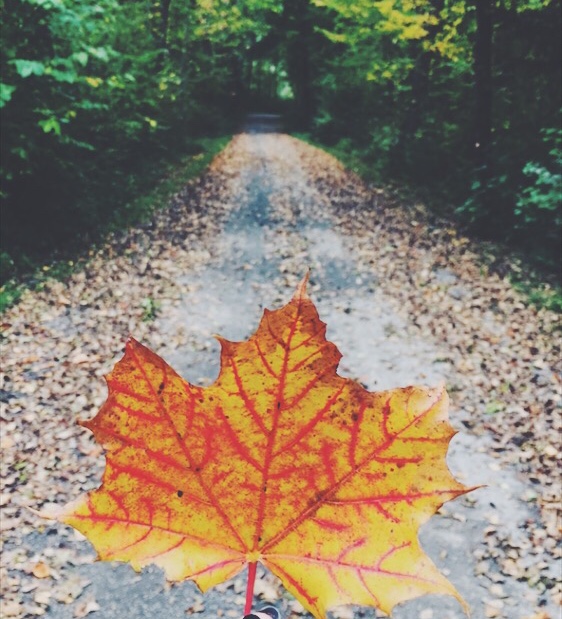 Ich habe keinen Bock! Einfach mal nicht.