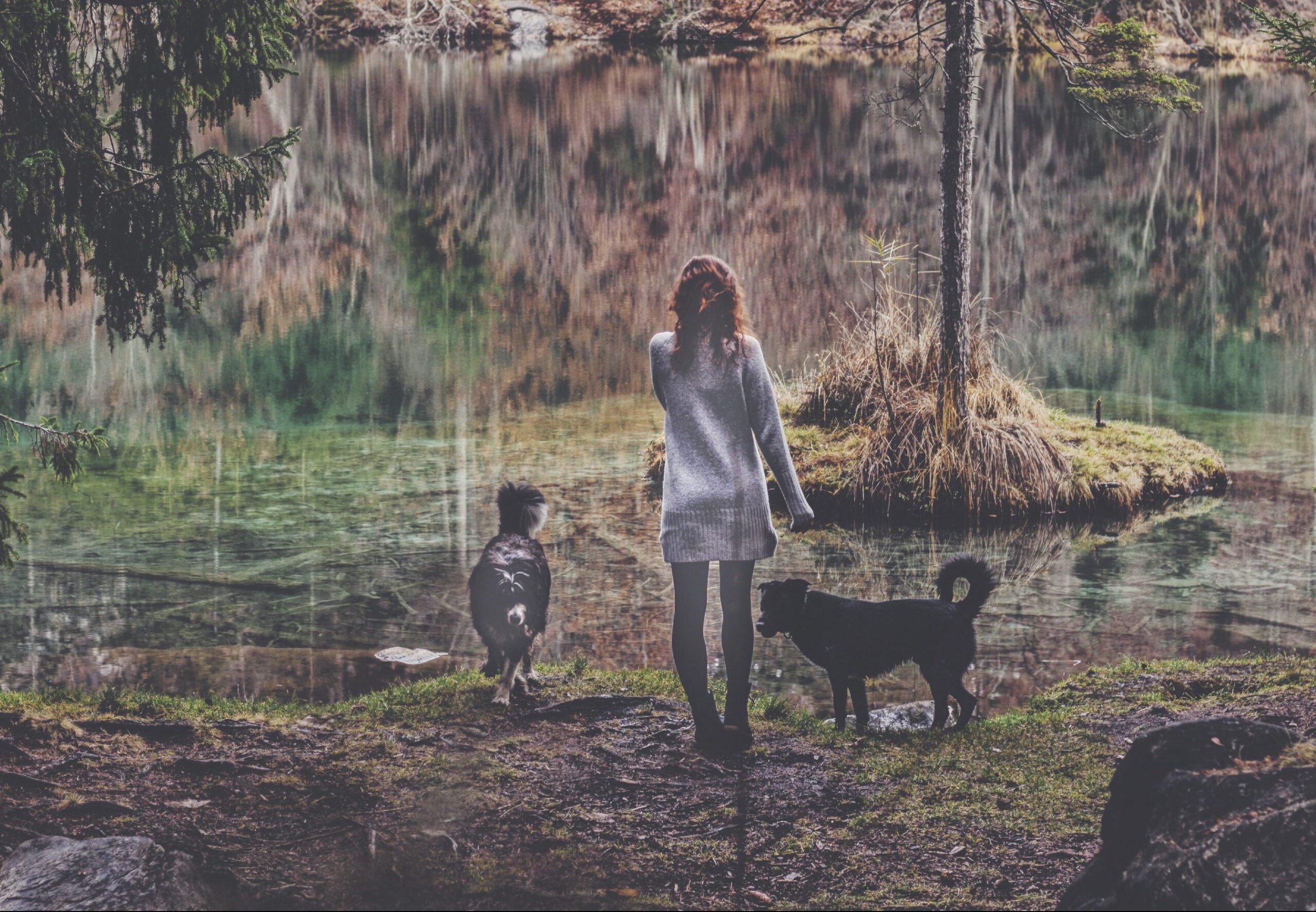 Sammy C - Fragen - cover