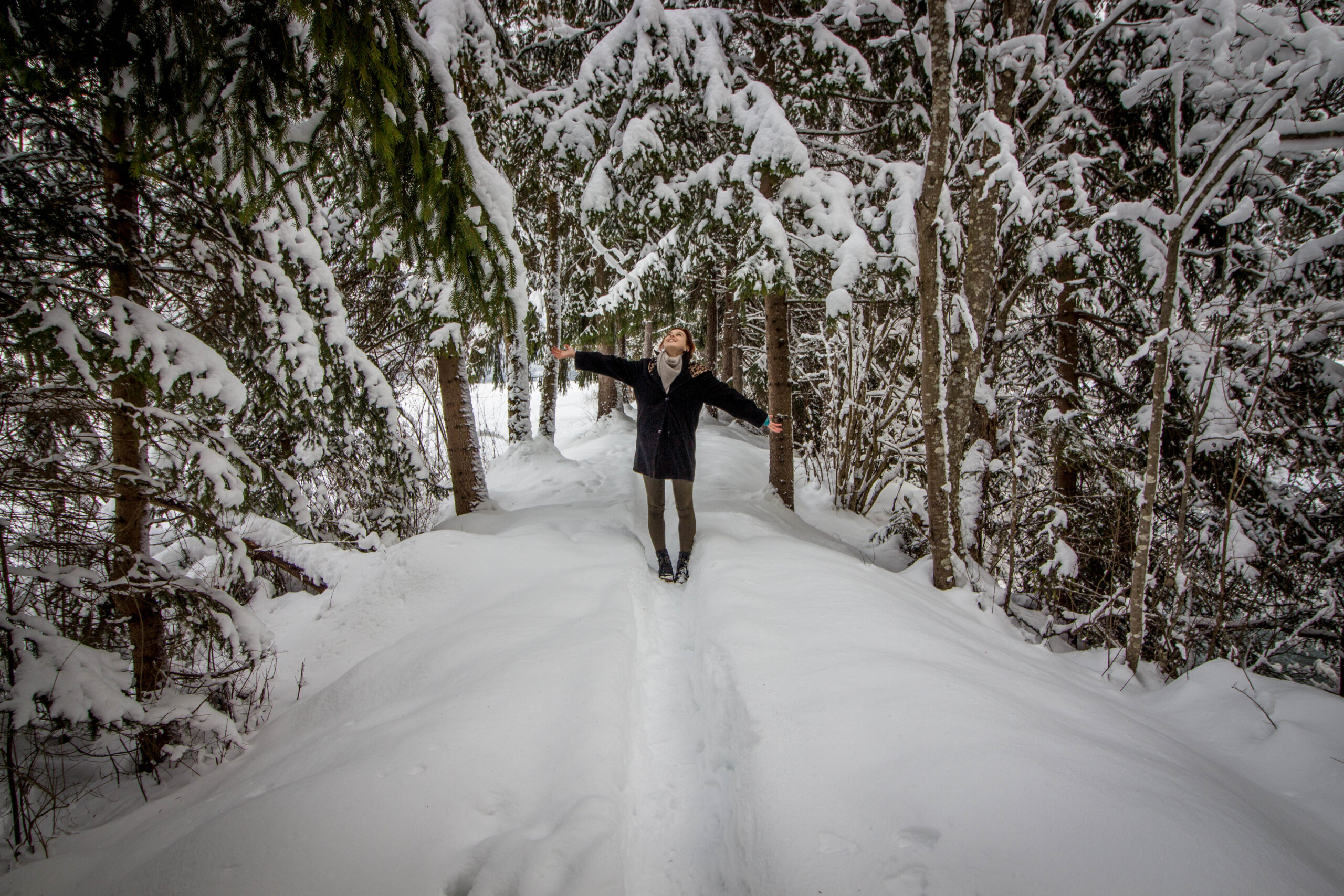 Sammy C - Januar - cover